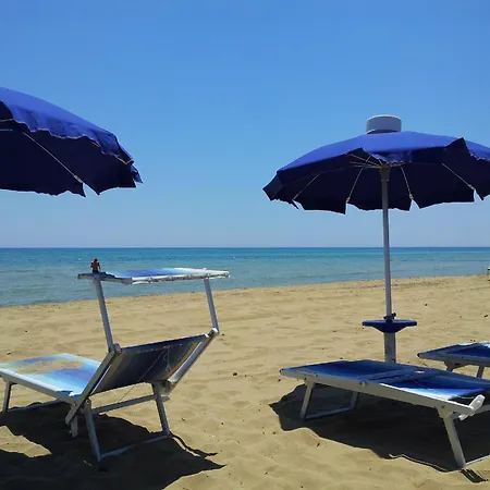 Eucaliptus Sea View *